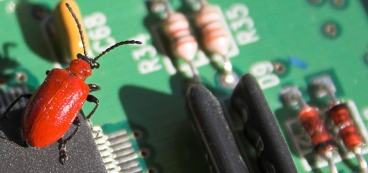 I pericoli in rete: dai virus informatici al phishing