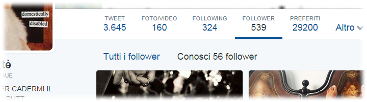 Twitter Follower List