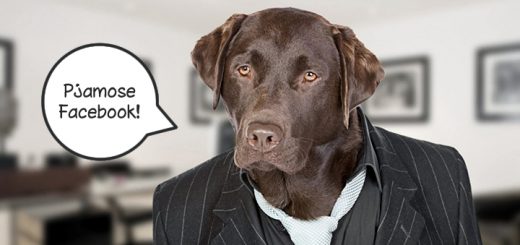 L'abito non fa il Social Media Manager