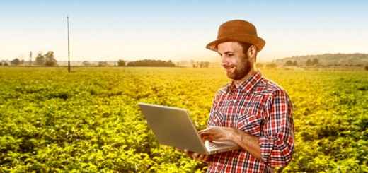 Il futuro di un informatico? Aprire un agriturismo!