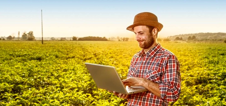 Il futuro di un informatico? Aprire un agriturismo!