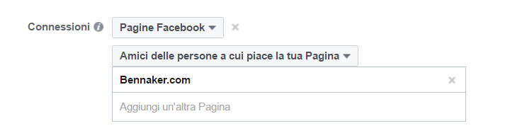 Business Manager - Connessioni