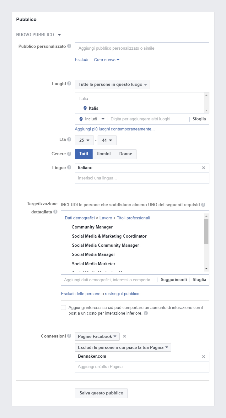 Facebook Business Manager - Pubblico