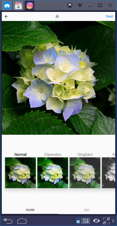 BlueStacks - Instagram