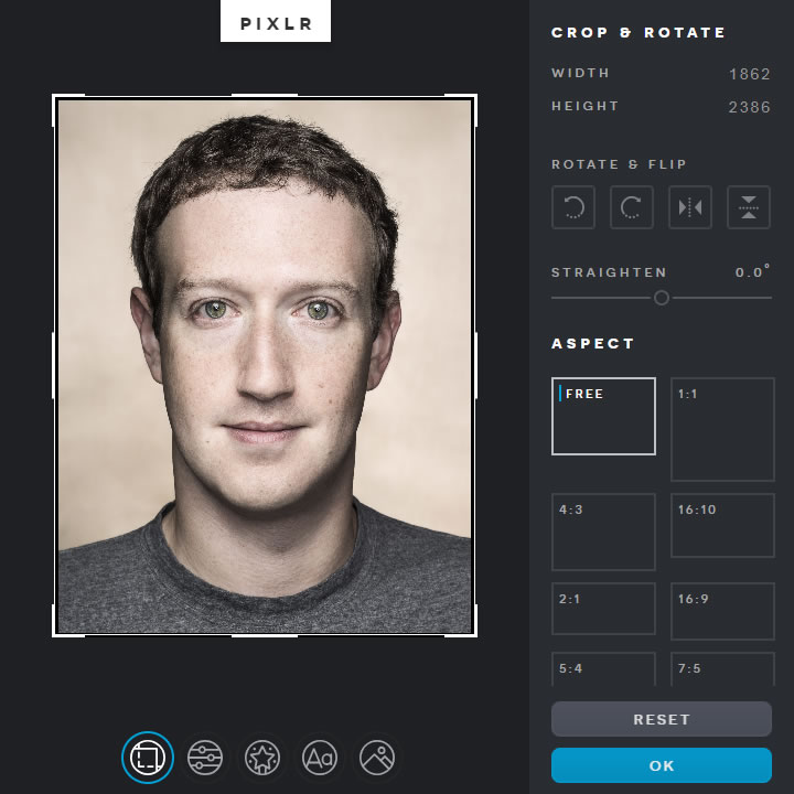 Pixlr X - Crop & Rotate