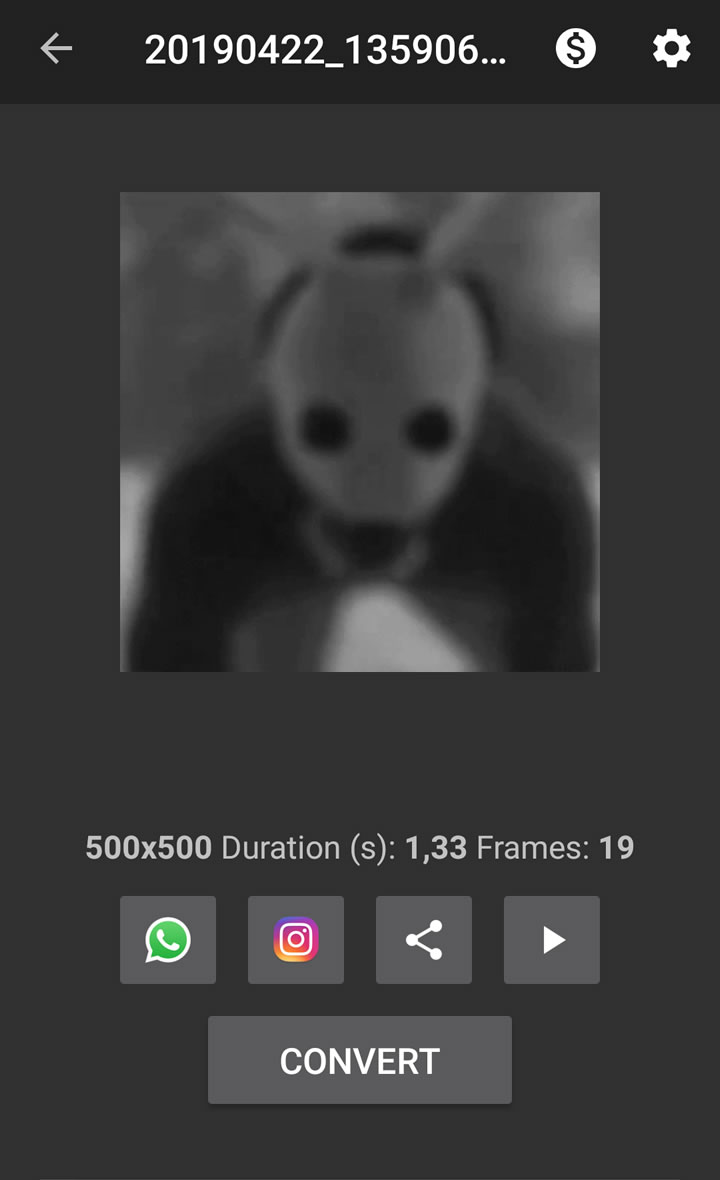 GIF to Video - Share